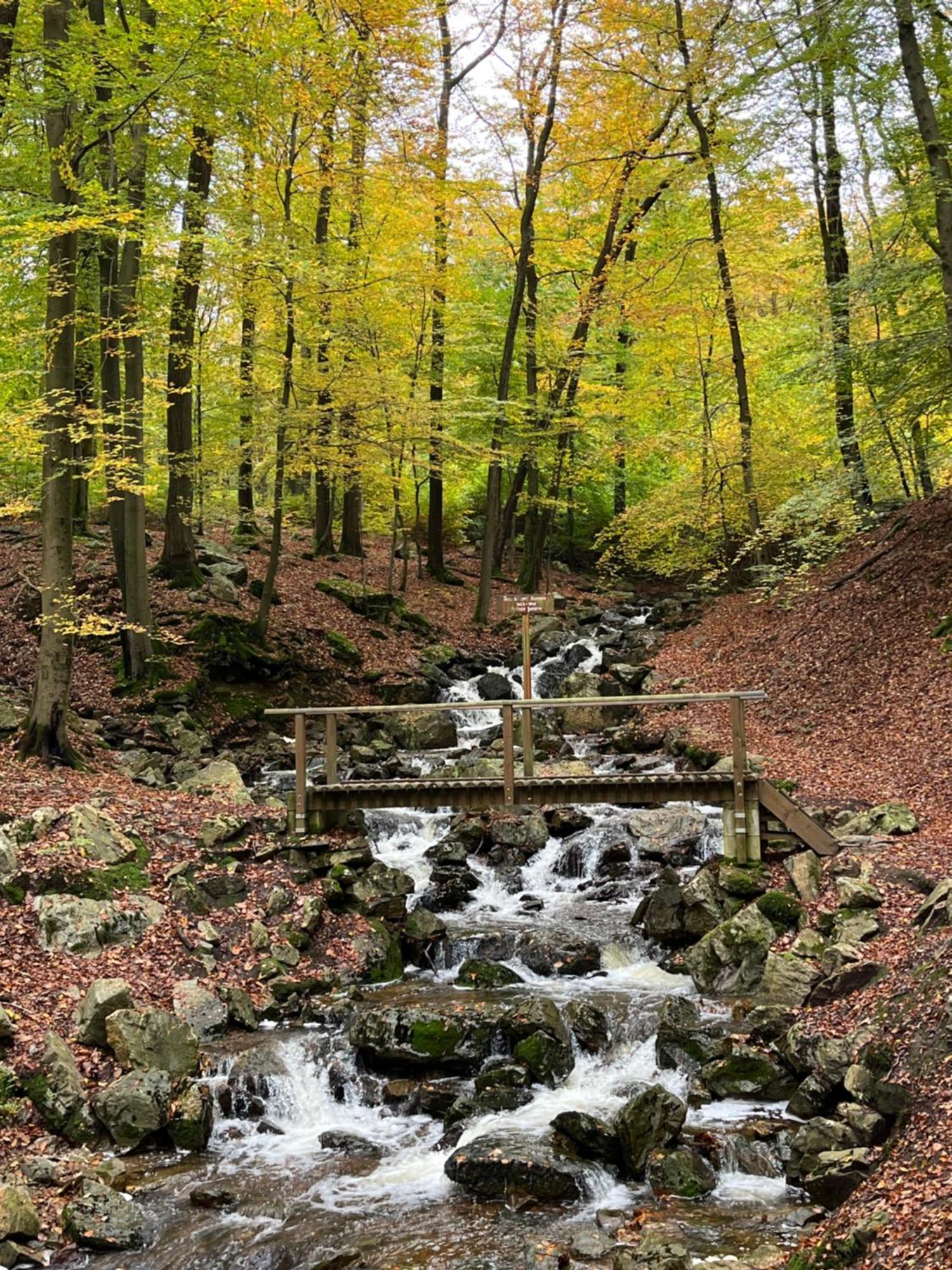 B&B Au Coin Des Sources Sart-lez-Spa Zewnętrze zdjęcie